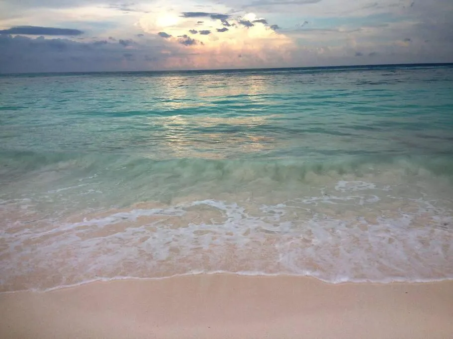 Summer Tip Villa Van Gogh With Sportclub Playa del Carmen 0*,